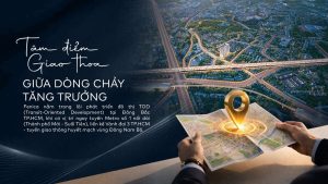 vi tri chien luoc cua fenica tran quang dieu